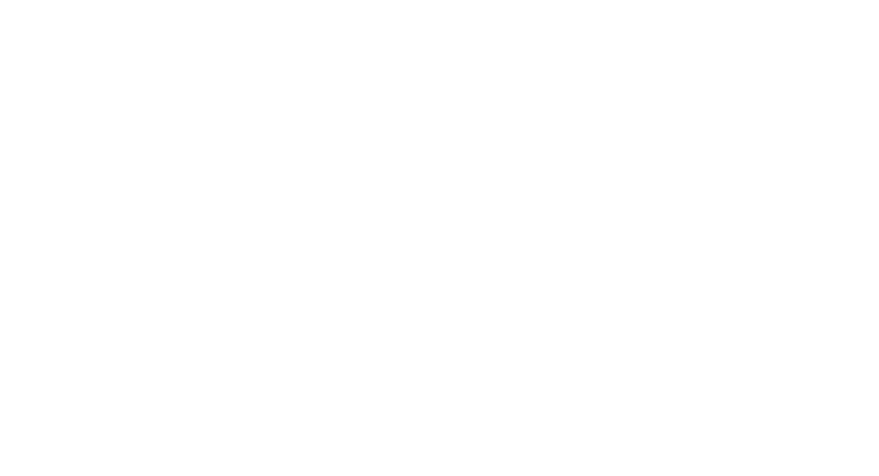 NepOps Logo